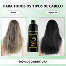 Shampoo De Tintura De Cabelo Preto 3 Em 1 , Fórmula De Ervas Hidratante Suave