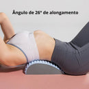 Base Multifunção - ErgoPlus